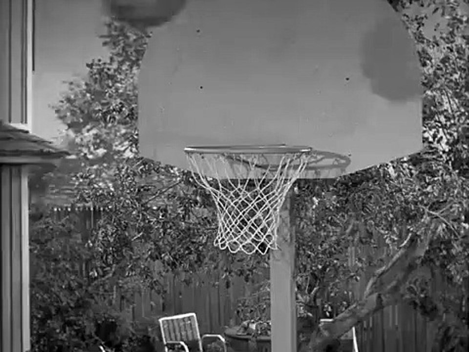 Mister Ed - Se5 - Ep06 HD Watch