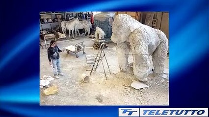 Video News - UN CATALOGO PER "MECCANICHE DELLA MERAVIGLIA"
