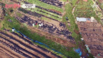 정확한 진단이 필요한 선이 씨를 위해 구원 투수 꽃길 원장이 떴다!