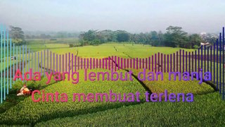 Karaoke  Dangdut - Dawai Asmara - Rhoma Irama