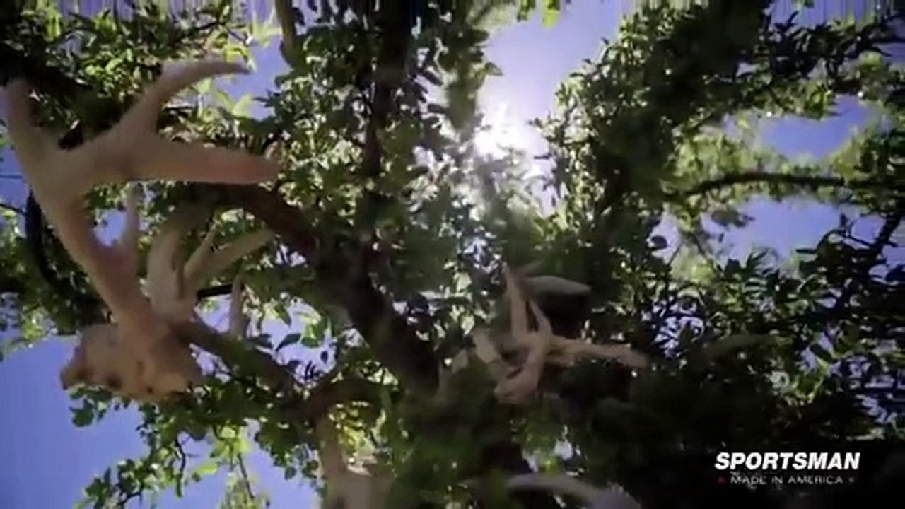 MeatEater - Se3 - Ep04 HD Watch