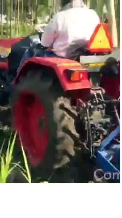 Mahindra Jivo 245 DI 4WD Sugarcane Farming With