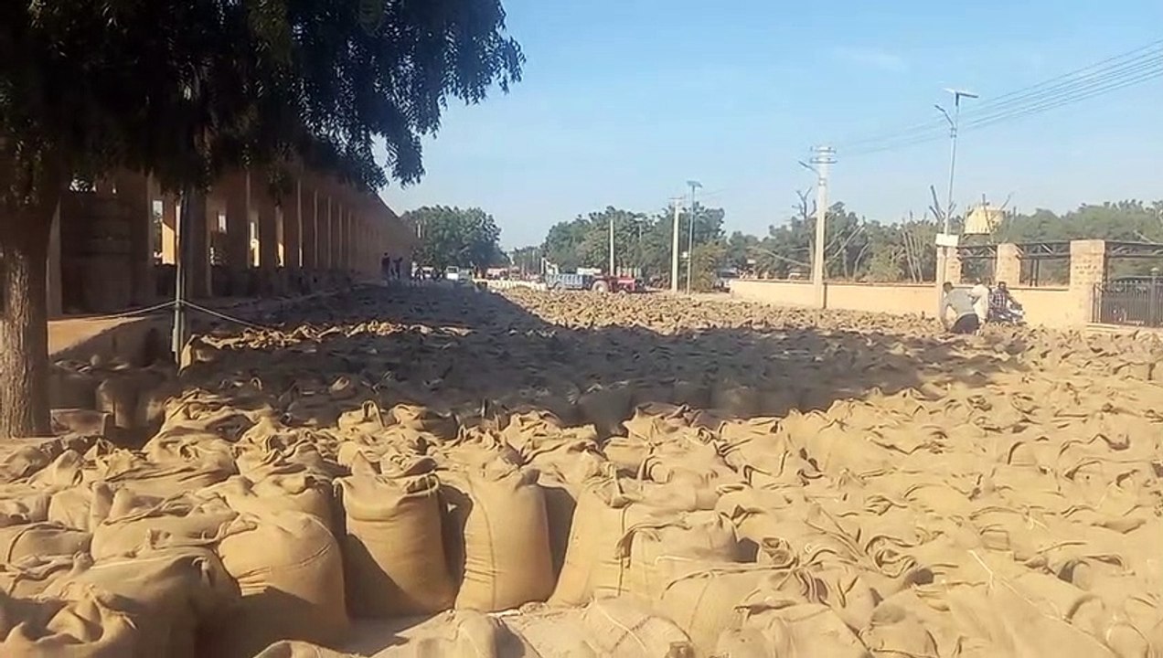 कारोबार में आई गर्मी के साथ ३० हजार प्रति क्विं...