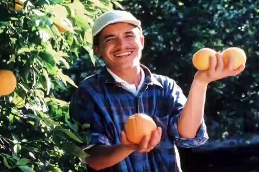 Mind of Mencia - Se3 - Ep09 HD Watch