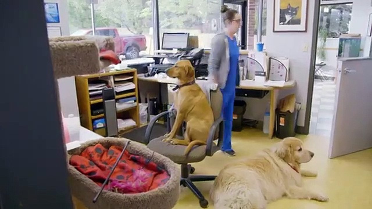 Hanging with the Hendersons - Se2 - Ep01 HD Watch