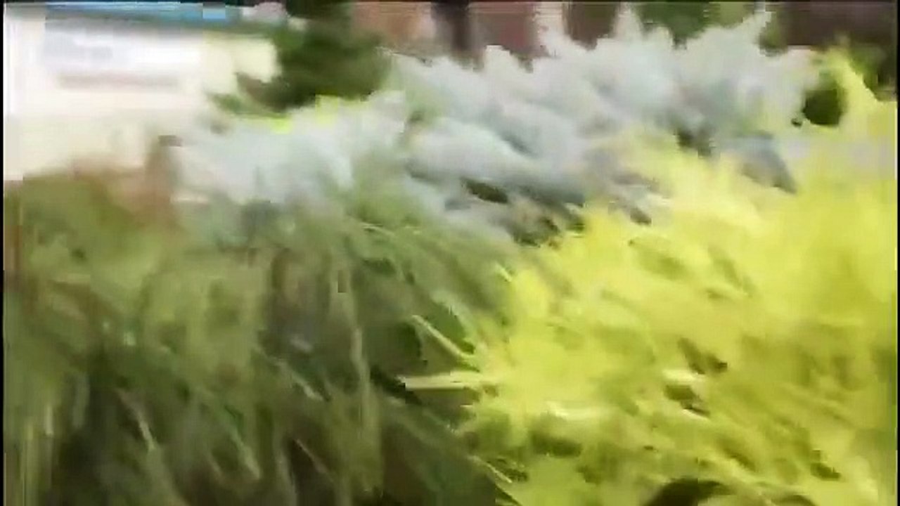 Haunted Case Files - Se2 - Ep04 - Haunted Hospital HD Watch