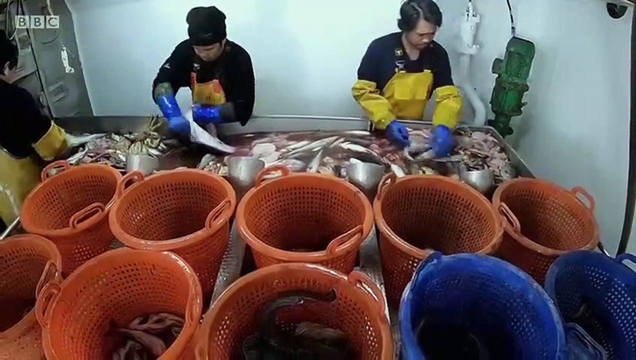 Fish Town - Se1 - Ep03 HD Watch