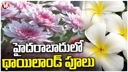 Special Story On Flower Bouquet Shop Maker | Hyderabad | V6 News