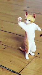 Tom Dance Tom and Jerry