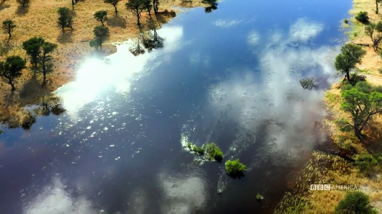 Meerkat Manor - Rise of the Dynasty - Se1 - Ep13 HD Watch