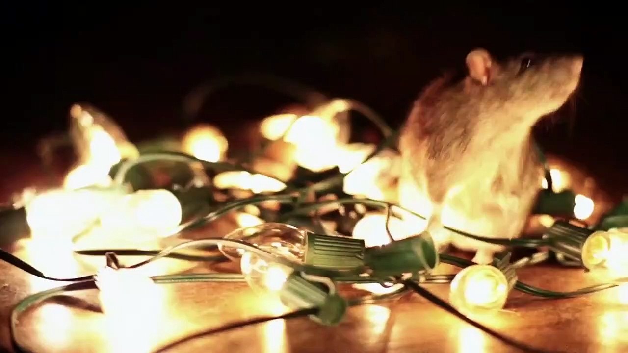 Mur-'der Among Friends - Se1 - Ep01 - Mur-'der Circle HD Watch