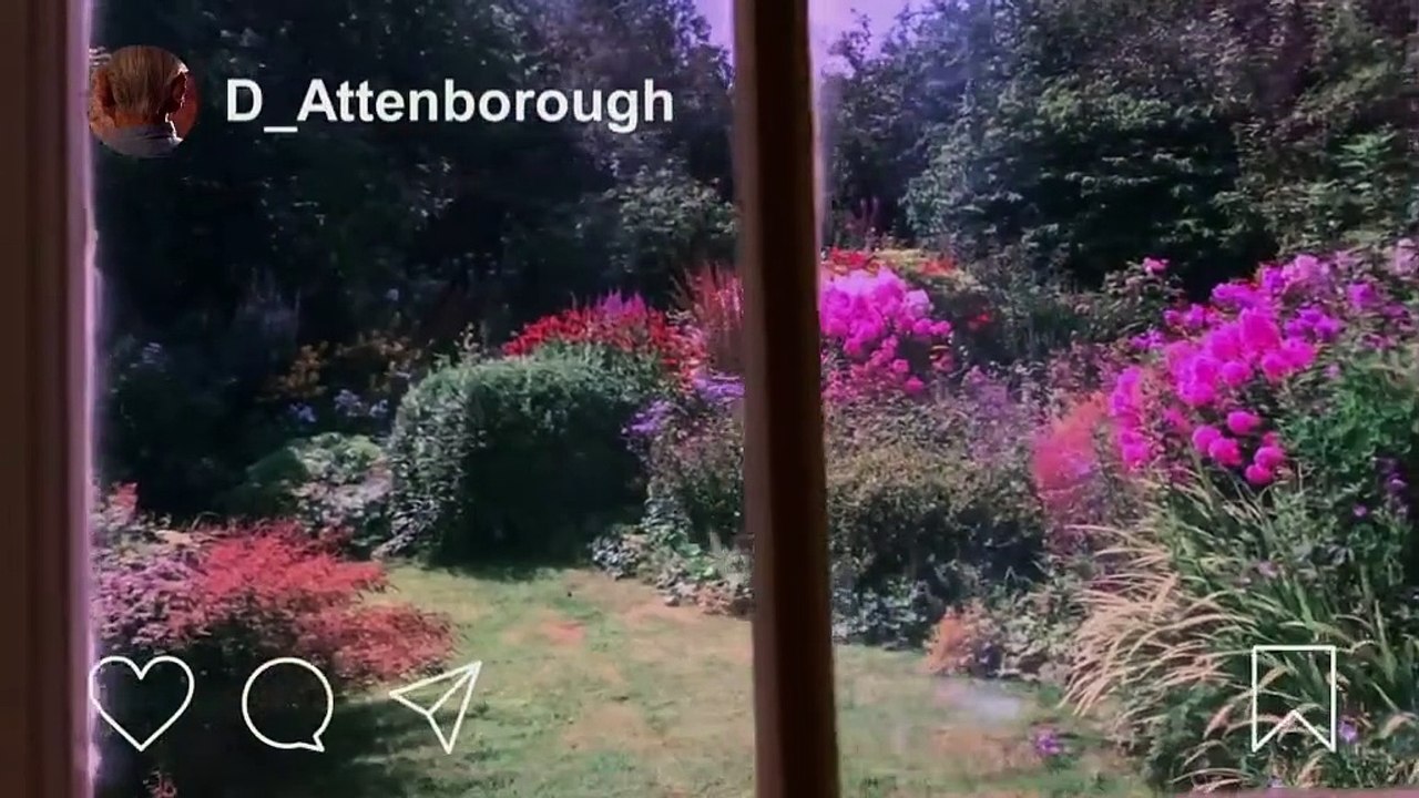 Spitting Image (2020) - Se1 - Ep09 HD Watch