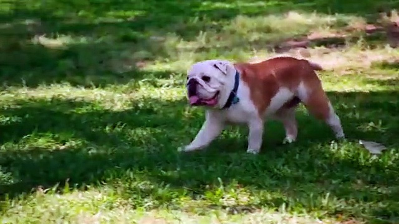 Selling Tampa - Se1 - Ep04 HD Watch