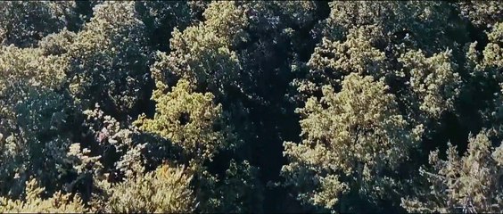 Built to Kill (2021) Watch HD