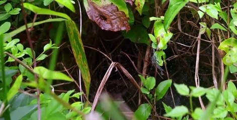 America Outdoors with Baratunde Thurston S01 E05