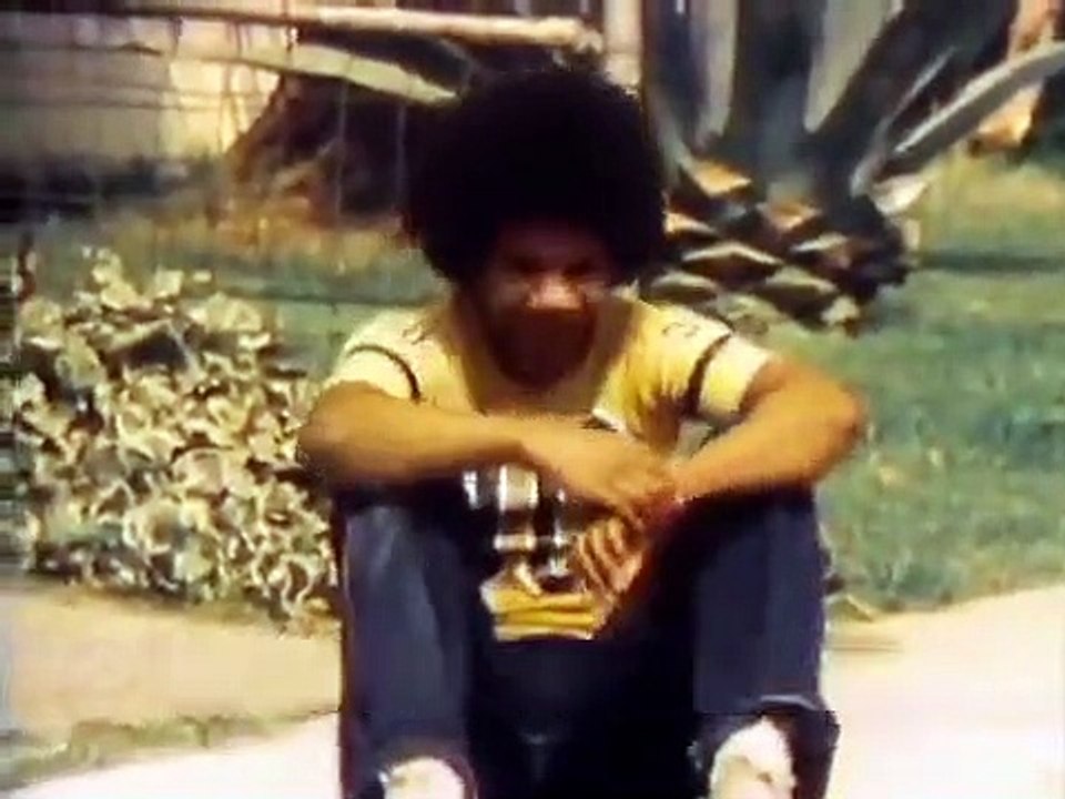 Whats Happening - Se2 - Ep20 -Diplomatic Immunity HD Watch