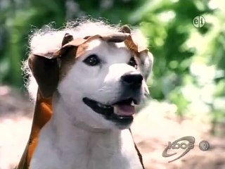Wishbone - Se1 - Ep34 HD Watch