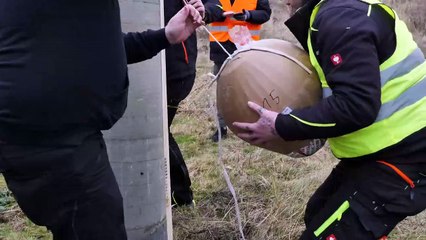 10x 400 mm SHELLs XXL GROßFEUERWERK - KRASSER GEHT NICHT [] _ JJFireworks