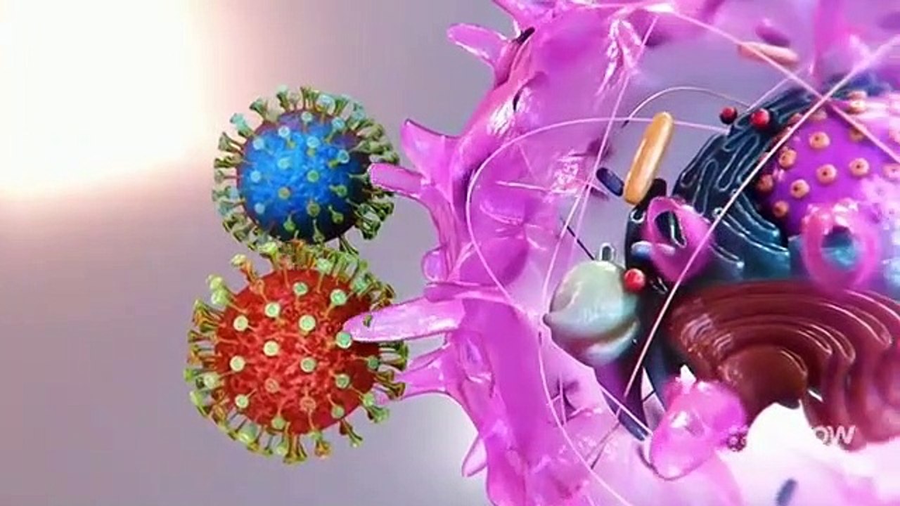 Under Investigation - Se1 - Ep03 HD Watch