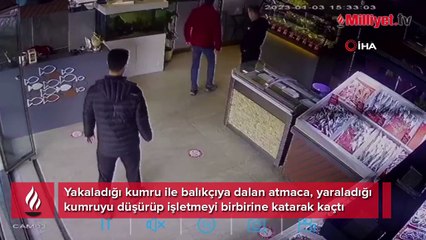 Balıkçıya giren atmaca dehşet yaşattı: O anlar kameraya yansıdı