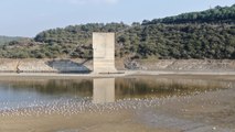 Alibeyköy Barajı son 10 yılın en düşük seviyesine geldi