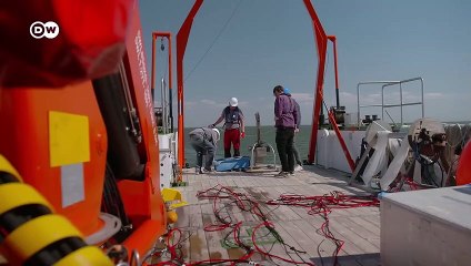 ¿Vacaciones sin playa de arena? Una materia prima cada vez más escasa | DW Documental