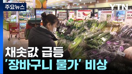 "장 보기 무서워요"...채솟값 등 '장바구니 물가' 비상 / YTN