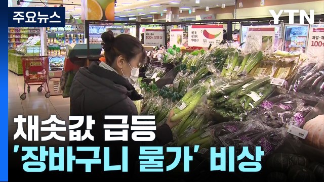 장 보기 무서워요 ...채솟값 등 '장바구니 물가' 비상 / YTN