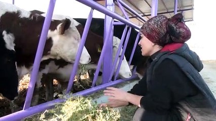 Konya'da üniversite mezunu kadın girişimci devlet desteğiyle çiftlik kurdu