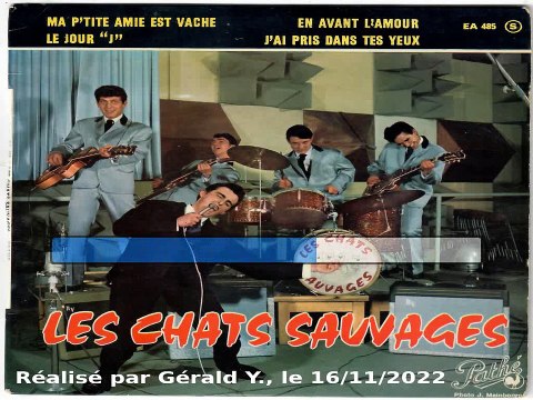 Les Chats Sauvages & Dick Rivers_J'ai pris dans tes yeux (1961)karaoké