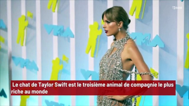 Le chat de Taylor Swift est le troisième animal de compagnie le plus riche au monde !