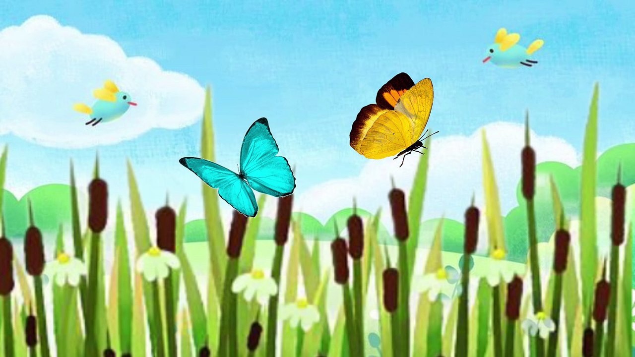 Backround Music For Free Video Dailymotion