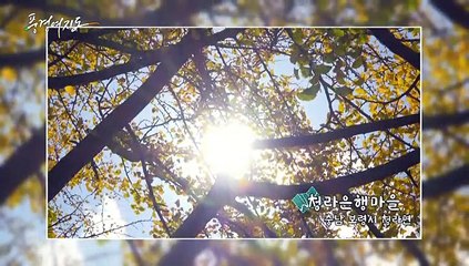 [풍경여지도] 오감만족! 겨울여행 - 충남 보령 1부