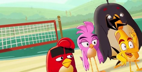 Angry Birds: Summer Madness E008
