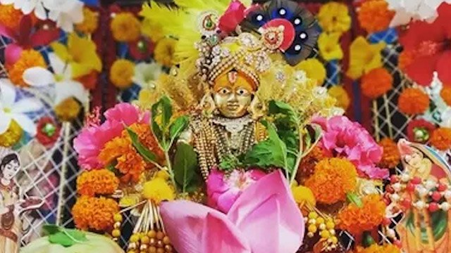 Paush Putrada Ekadashi 2023 : पौष पुत्रदा एकादशी व्रत क्यों किया जाता है । Boldsky *Religious