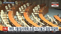 국정조사 연장에 임시회까지…여야, 새해에도 '강대강' 불가피