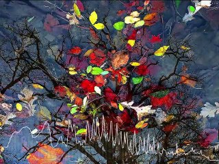 Bach - Präludium -remixed as  Sanctus - instrumental