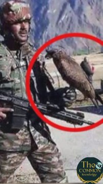 Indian army first eagle commando 'arjun'. arjun why important know more