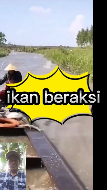 Hujan ikan