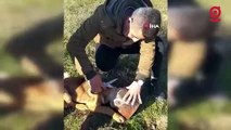 Başı plastik kaba sıkışan köpeği vatandaş kurtardı
