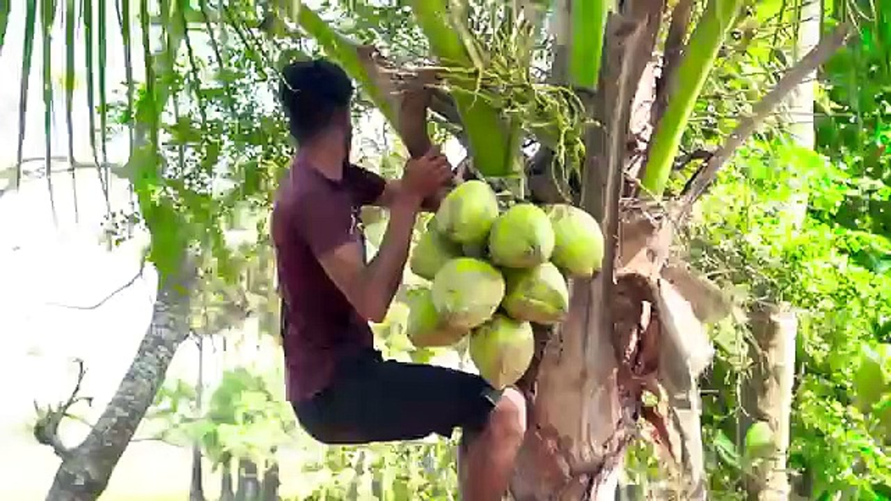 New_Entertainment_Top_Funny_Video_Best_Comedy_in_2022_Episode_182_By_Funny_Day(360p)
