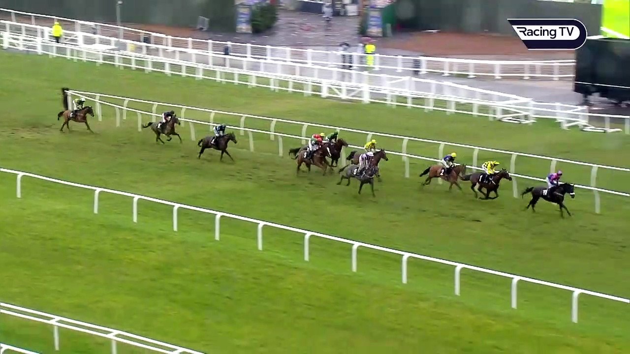 _I'm shell-shocked!_ - JUPITER DU GITE springs a 66-1 shock at Newbury