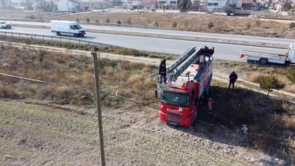 Elektrik direğinin tepesinde mahsur kalan kediyi itfaiye kurtardı