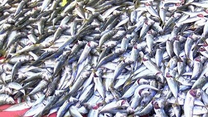 Geri döndü! 50 liraya üç kişi karnını doyuruyor