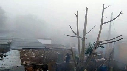 शीतलहर व कोहरे ने रोकी रफ्तार, जोबनेर एक डिग्री पर आया