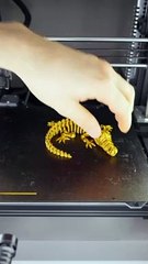3D Printing Timelapse Compilation with ASMR