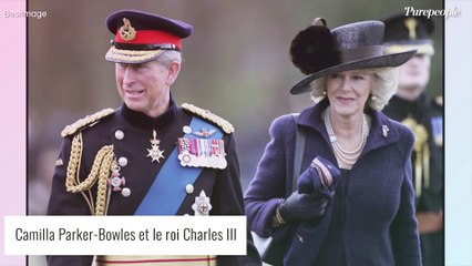 Camilla Parker-Bowles "tremblait" pour sa première rencontre officielle chez William, récit d'un jour primordial