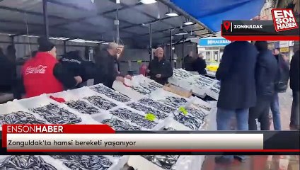 Zonguldak'ta hamsi bereketi yaşanıyor