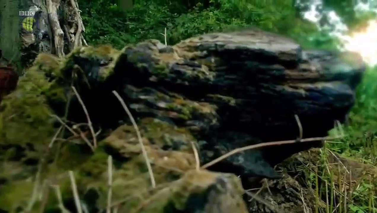 Hetty Feather - Se1 - Ep05 HD Watch