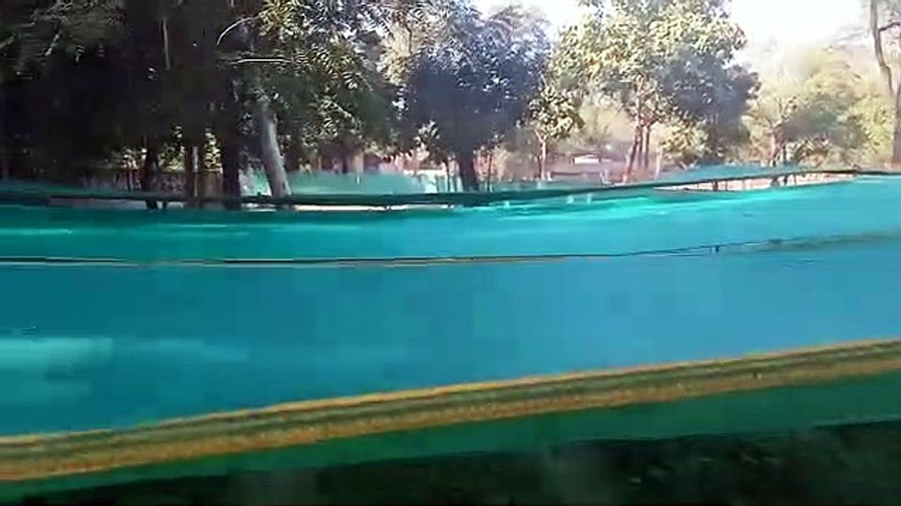 हरियाली का शोर मचाने वाले ही नहीं संभाल पाए मुफ्त में मिली हरियाली